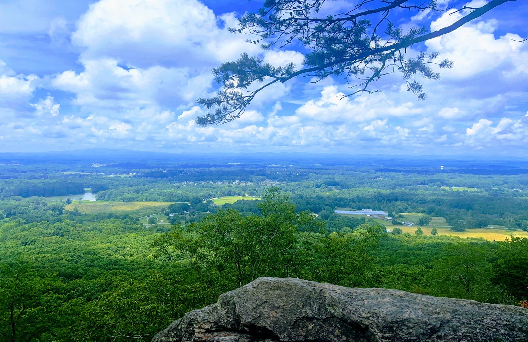 High-end fence installation in Fulton and Forsyth neighborhoods