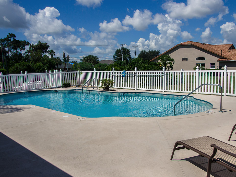 Recent vinyl project 5