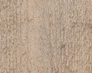 Fence Stain Contractor in Dallas Georgia