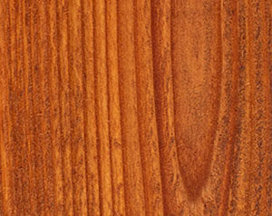 Fence Stain Contractor in Dallas Georgia