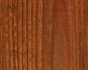 Fence Stain Contractor in Dallas Georgia