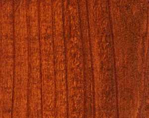 Fence Stain Contractor in Dallas Georgia